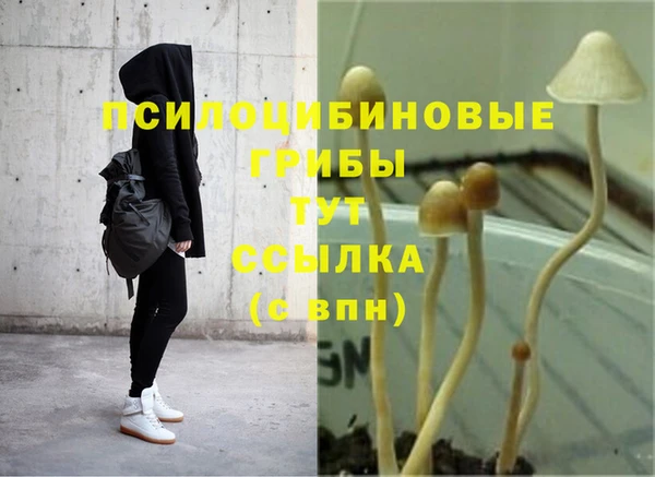 гидропоника Новый Уренгой