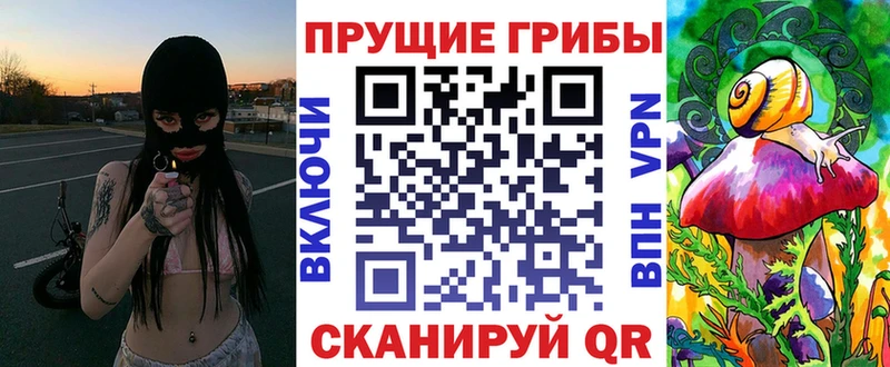 сколько стоит  Хадыженск  Галлюциногенные грибы мухоморы 